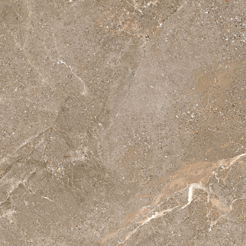 NIAGARA-21.A.880.5003